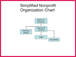 4 5 Non Profit Organization Chart Sop Examples