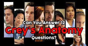 If you're one of those people who has watched (and rewatched) the entire series to the point of basically being a surgeon yourself, it. Can You Answer These 12 Human Anatomy Questions Quizpug