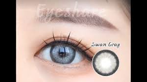 swan gray lens makeup contact lens blue