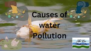 causes of water pollution you