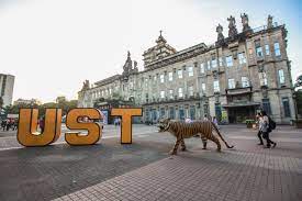 Online classes in UST to resume; no ...