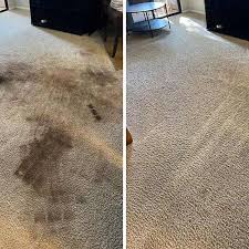 upholstery cleaning services phoenix az