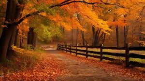 fall wallpaper background images hd
