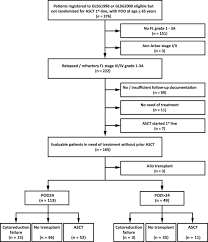 autologous stem cell transplantation