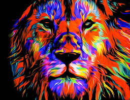 colorful lion stock photos royalty