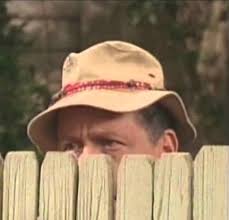 His most famous role was that of helpful neighbor wilson w. Mr Wilson Home Improvement