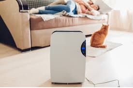 Air Purifier And A Fan