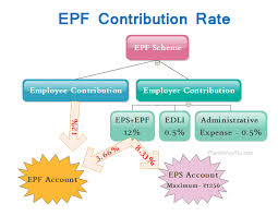 Epf Contribution Rate For Employee And Employer In 2019