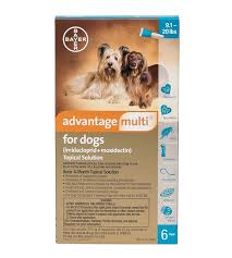 Advantage Multi Topical Solution For Dogs 9 1 20 Lbs 6 Treatments Teal Box