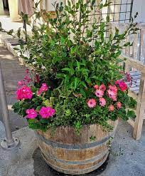 How To Grow A Flower Container Garden