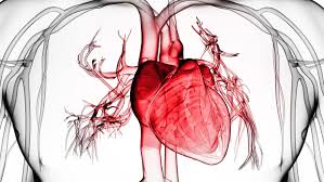 The pain is typically less severe when sitting up and more severe when lying down or breathing deeply. Covid 19 And The Heart Part 5 Amelia Heart Vascular Center