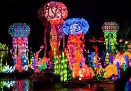 chinese lantern festival the wild at