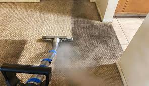 carpet tile cleaning service in moreland