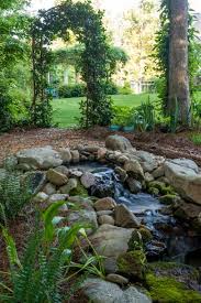 Choosing Plants For Arches And Pergolas