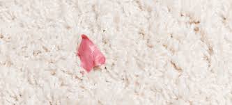 how to remove chewing gum from carpet