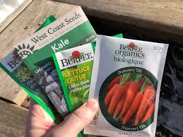 how long do vegetable seeds last home