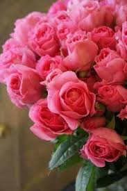 You can express your hidden feelings through. 130 Lovely Flowers Ideas Flowers Beautiful Roses Beautiful Flowers