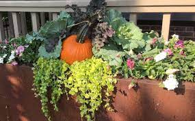 Creating Great Fall Containers Spotts