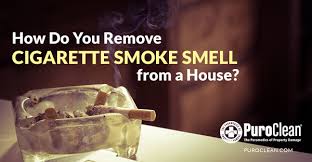 how do you remove cigarette smoke smell