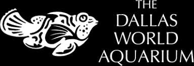 the dallas world aquarium dwazoo