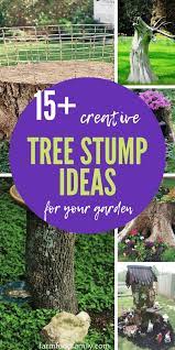 Tree Stump Decor