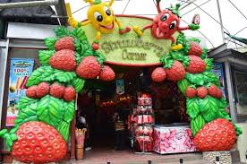 Do you live in cameron highlands? Things To Do In Cameron Highlands