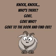 Hal, will you know if you don't open the door? Jokes For Kids 104 Of The Best Knock Knock Jokes To Make Them Laugh