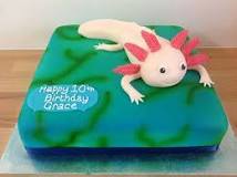 What is an axolotl cake?