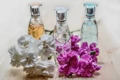 parfüm-bitkileri-nelerdir