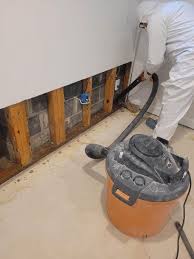 mold removal chemicals