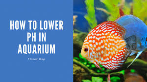 how to lower ph in aquarium 7 proven