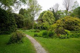 mount usher gardens avoca wicklow