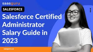 sforce certified administrator