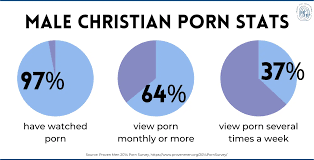 For a Christian with Porn Addiction: How to Quit