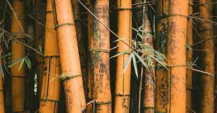 best underlayment for bamboo flooring