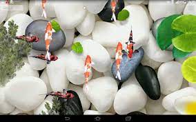 Koi Fish Live Wallpaper 3D for Android ...