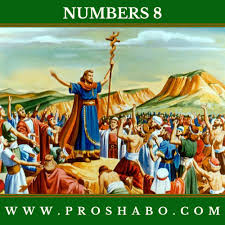verse by verse explanation of numbers 8