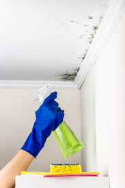 clean mold from your bathroom ceilings