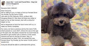 offering 7 800 reward for missing dog