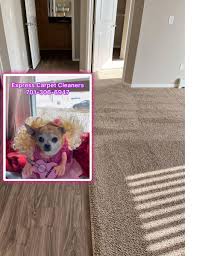 aloha carpet cleaning llc fargo nd