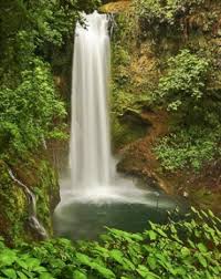 la paz waterfall gardens nature park