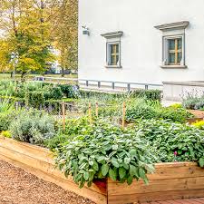 7 Steps To Growing A Victory Garden