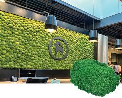 How Is A Moss Wall Made Green Oasis