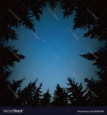 stars and dark forest trees vector image