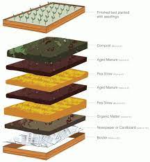 Box Soil Vegetable Garden Raised Beds