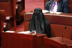 Pauline Hanson wears burka to Question Time in the Senate, slammed by  George Brandis - ABC News