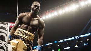 Image result for deontay wilder