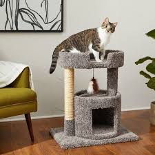 cat tree with condo and oval perch