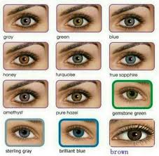 All About The Human Eye Color Chart Eye Color Chart