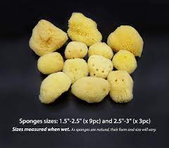 natural sea silk sponges 12pk size 1 5
